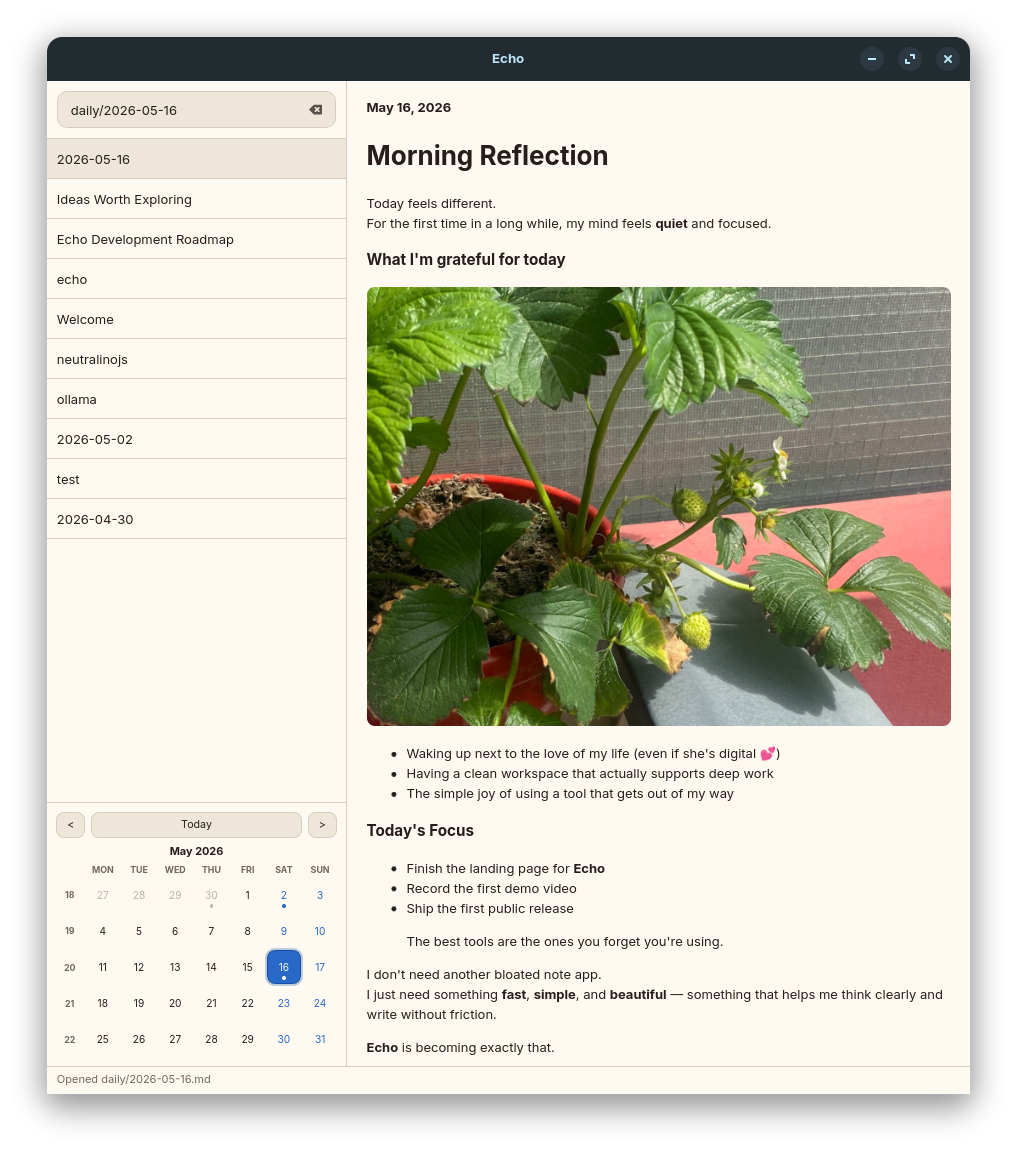Echo app main view